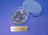 写真の説明を入れます